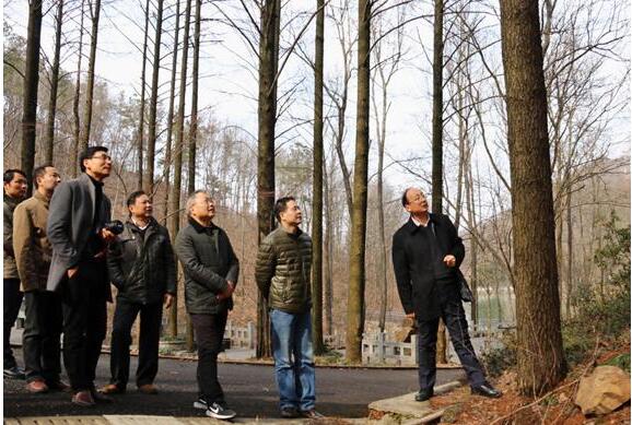 MG游戏官网·(中国区)有限公司