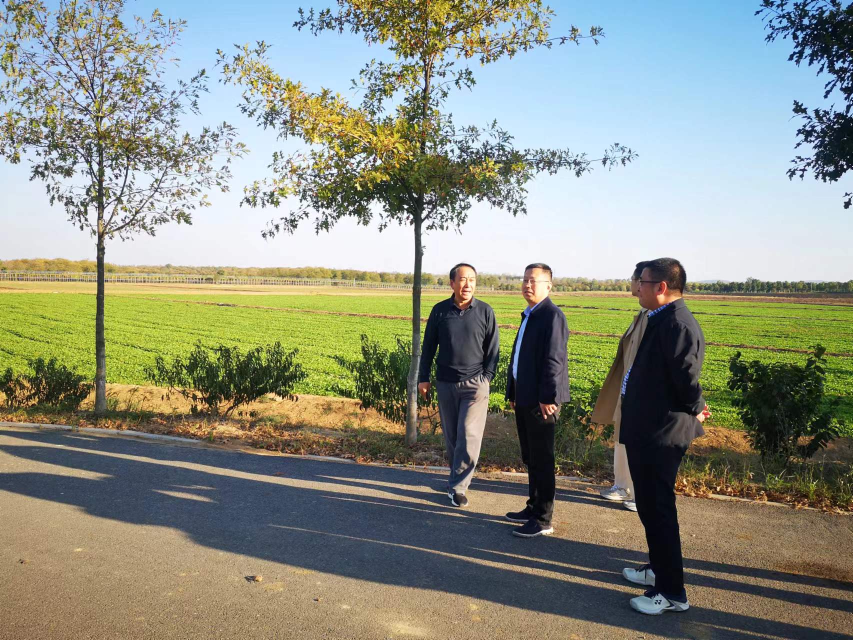 MG游戏官网·(中国区)有限公司