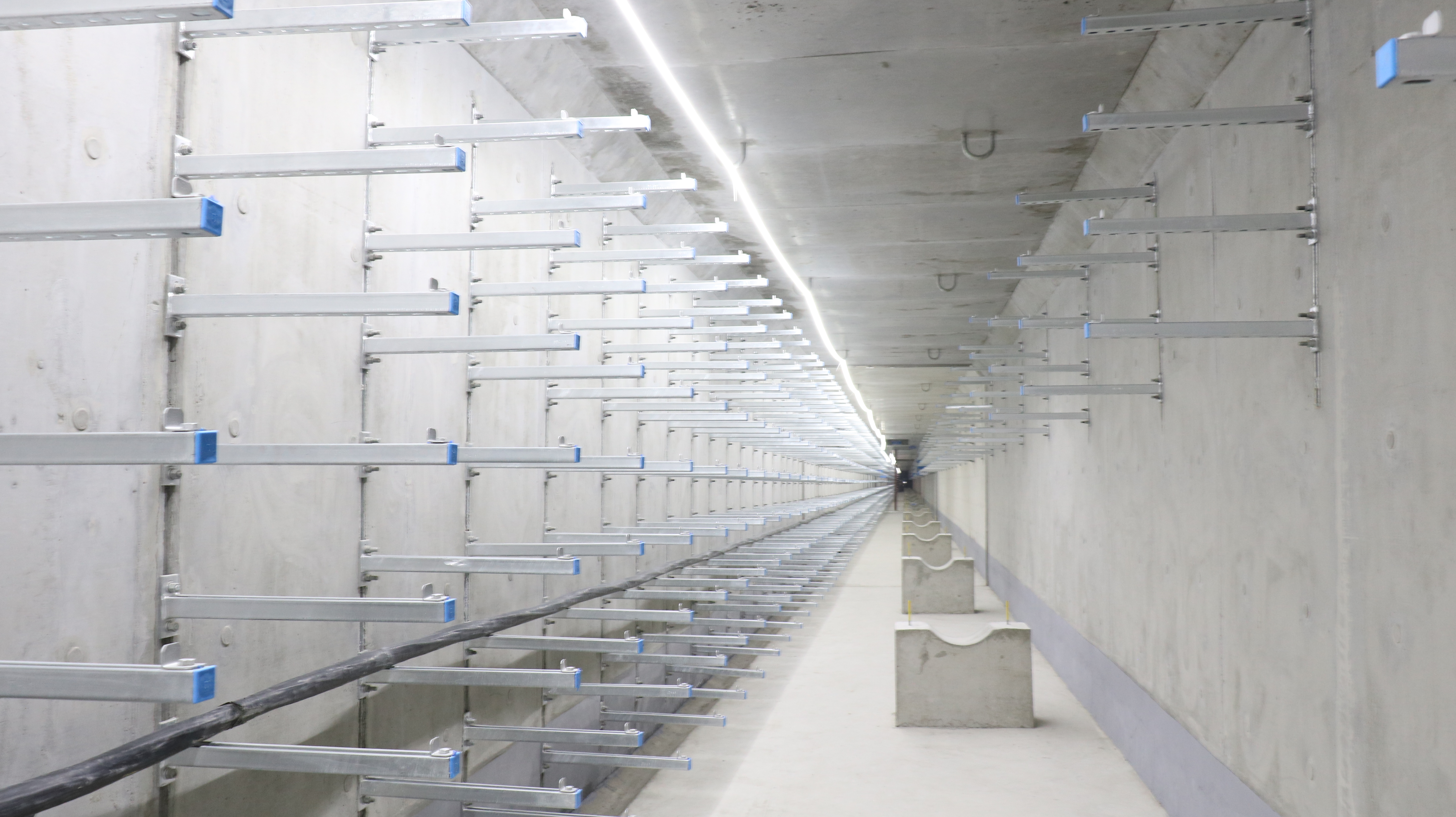 MG游戏官网·(中国区)有限公司